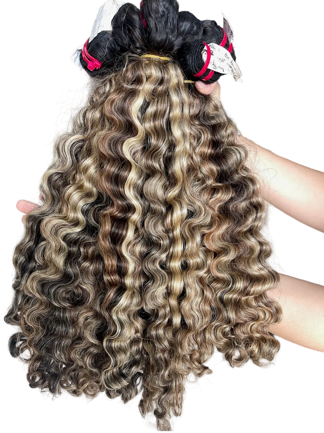 Burmese mulatto